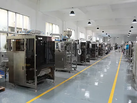 A Guide to Choosing Multi-Lane Packaging Machines How to Find a Reliable Supplier A Guide to Choosing Multi-Lane Packaging Machines How to Find a Reliable Supplier